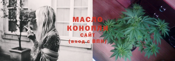 мдпв Горняк