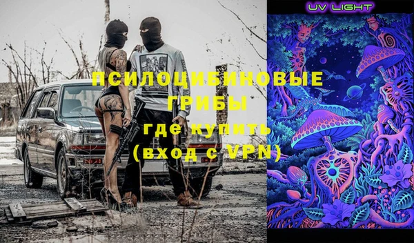 прущий лед Туринск