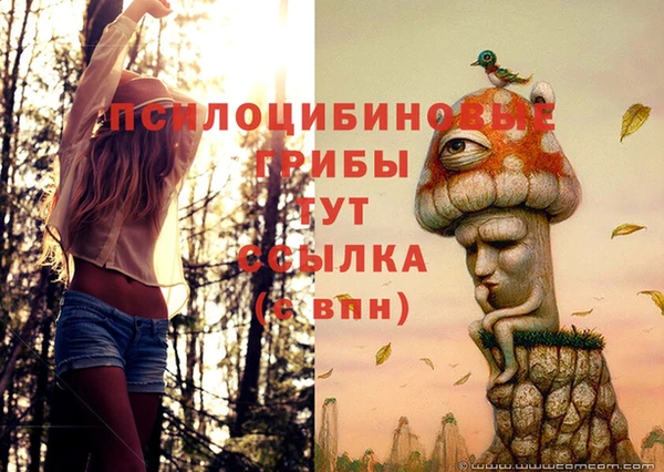 а пвп мука Карабаш