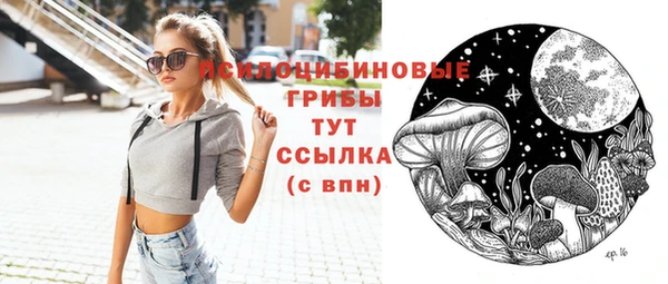 мдпв Горняк