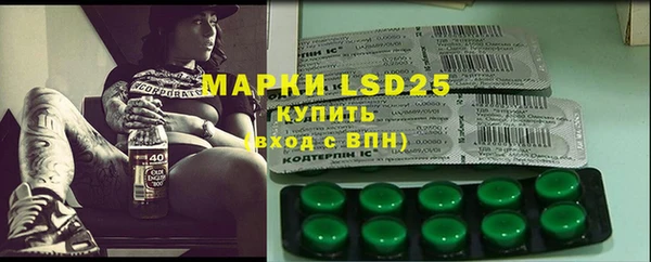 мдпв Горняк
